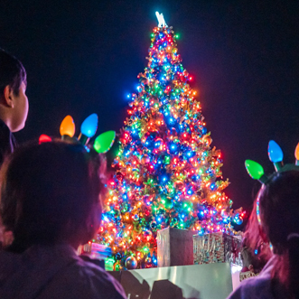 Tree Lighting